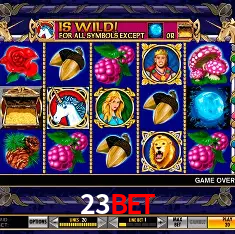 23bet Salvador - Bonus Stats